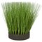 18.5 Inch Planted Round Pvc Onion Grass