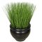 18.5 Inch Planted Round Pvc Onion Grass