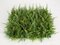 20 Inch X 20 Inch X 4 Inch Artificial Fire Retardant or Regular ***Mixed Fern Mat