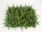 20 Inch X 20 Inch X 4 Inch Artificial Fire Retardant or Regular ***Mixed Fern Mat