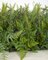 20 Inch X 20 Inch X 4 Inch Artificial Fire Retardant or Regular ***Mixed Fern Mat