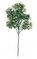 25" Artificial Fern Leaf Aralia Branch - Green-sold by dozen