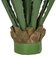 36 Inch Large Outdoor Agave Plant In Green Or Burgundy