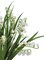 12 INCH LILY OF THE VALLEY BUSH X 7