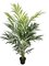 6.5 FOOT SOFT TOUCH KENTIA PALM TREE