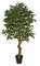6 Foot Ficus Trees With Synthetic Trunk Plastic coated Ficus Leaves