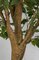 6 Foot Ficus Trees With Synthetic Trunk Plastic coated Ficus Leaves