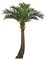 11.5 Foot Coconut Palm Tree With Fiberglass Trunk