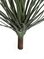 ARTIFICIAL SENECIO SUCCULENT PLANT | 16 inches OR 22 inches SIZES