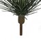 ARTIFICIAL SENECIO SUCCULENT PLANT | 16 inches OR 22 inches SIZES
