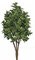 33” Plastic Outdoor Boxwood Boxwood Bush Tutone Green