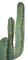 54 Inch Desert Green Saguaro Cactus With Light Needles