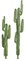 Sunset Saguaro Cactus Plants In Blue/Green Color - 54 Inch Or 70 Inch Sizes