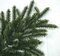 32 inches POLYBLEND OUTDOOR FRASIER FIR BRANCH | GREEN OR GREEN/GREY