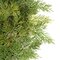 30 INCH PLASTIC NATURAL TOUCH CEDAR SPRAY