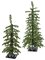 NATURAL TOUCH Norfolk PLASTIC CELINA FIR Christmas Holiday   TREES WITH BATTERY OPERATED LED RICE LIGHTS | 2 FT. OR 3 FT. TALL