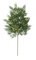 20" Natural Touch Cedar Spray
