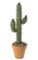 28 inches Plastic Saguaro Cactus - Green - Bare Stem