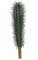 10" Plastic Saguaro Cactus - White Flock Needles - 3" Width - Bare Stem