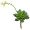 4.5 Inch Fire Retardant Echeveria With Flower