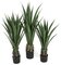 Uv / FR Artificial  Fire retardant Outdoor Agave  Plant In Small, Medium Or Large Sizes