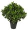 29 INCH Outdoor UV SWEET BAY BUSH