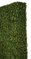 48 INCH X 8 INCH X 65 INCH Outdoor UV BOXWOOD HEDGE / BOXWOOD SCREEN