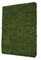 48 INCH X 8 INCH X 65 INCH Outdoor UV BOXWOOD HEDGE / BOXWOOD SCREEN