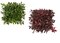 10 Inch X 10 Inch X 4 Inch Outdoor Uv Schefflera Wall Mat In Green Or Burgundy