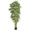 7' Thick/Thin Natural Style Bamboo  Tree