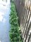 20 Inch Polyblend Outdoor Boxwood Bush Fire Rated