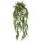 30 inches Green Bucler Fern Vine
