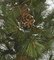 7 Foot Tall Needle Pine Christmas Tree with Grape Vine - Natural Trunk - 33 Pine Cones - 403 Green Tips - 48" Width - Metal Stand