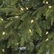 C-160444  5' Red Spruce Christmas Tree - Natural Wood Trunk - 402 Green PE/PVC Tips