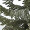 5' Flocked Pine Christmas Tree - Natural Trunk - 1,084 Green PVC Tips