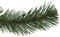 9 Foot x 12 Inch PVC Virginia Pine Garlands | LED Lights or No Lights