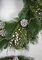 30 Inch Mixed Pvc Alban Pine Wreath | Frosted White Berries And Pine Cones