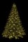 Flocked Pe/Pvc Sheldon Fir Christmas Tree With 3Mm Led Lights | 7.5 Ft., 9 Ft., 12 Ft.