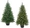 60 INCH WILSHIRE SPRUCE TREE | NO LIGHTS OR WITH LED LIGHTS
