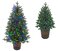 POTTED SLIM HAMILTON PINE CHRISTMAS  TREES W/MULTI-COLORED & MULTI-FUNCTION LED LIGHTS | 5 feet O...