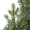 SLIM SIZE BLUE GRAND SPRUCE TREES WITH LED LIGHTS | 5 FT, 7.5 FT., 9 FT., OR 12 FT. TALL