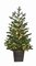 Potted Western Hemlock Trees with Micro LED Lights | 3 Ft. or 5 Ft.