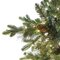 Woodland Mixed Pine Trees | 5' to 12' Sizes