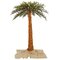 8 feet Royal Palm Tree 896 PVC tips and 650 Warm White Dura-lit LED Italian Style lights *Burlap Cloth Included
