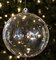 Earthflora's 8 Inch Transparent Ball Ornament In Shiny Finish