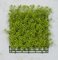 Earthflora's 10 Inch X 10 Inch Light Green Hanging Senecio Mat In Regular Or Fire Retardant Optio...