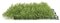 Earthflora's 10 Inch X 10 Inch Light Green Hanging Senecio Mat In Regular Or Ifr