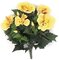 Earthflora's 14 Inch Ifr Hibiscus Bush - Yellow