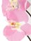Earthflora's  39 Inch Ifr Butterfly Orchids - Pink, Orchid Purple, Or White-FIRE RETARDANT