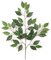 20' Ficus Tree - Natural Trunks - 23,184 Leaves
